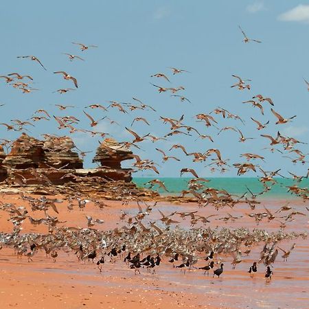 Broome Bird Observatory Exterior foto